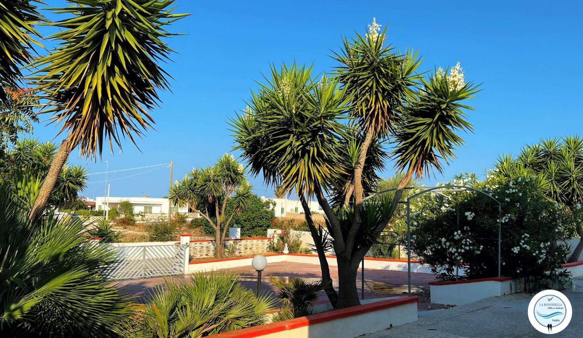 Villa La Rondinella - Torre San Giovanni ภายนอก รูปภาพ